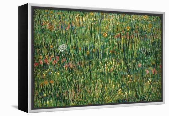 Patch of Grass by Van Gogh-Vincent van Gogh-Framed Stretched Canvas