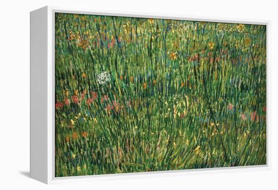 Patch of Grass by Van Gogh-Vincent van Gogh-Framed Stretched Canvas