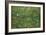 Patch of Grass by Van Gogh-Vincent van Gogh-Framed Art Print