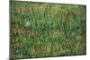 Patch of Grass by Van Gogh-Vincent van Gogh-Mounted Art Print