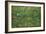 Patch of Grass by Van Gogh-Vincent van Gogh-Framed Art Print