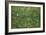 Patch of Grass-Vincent van Gogh-Framed Art Print