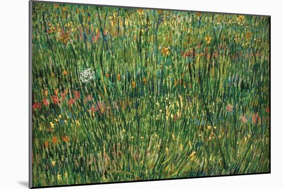 Patch of Grass-Vincent van Gogh-Mounted Art Print