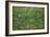 Patch of Grass-Vincent van Gogh-Framed Art Print