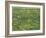 Patch of Grass-Vincent van Gogh-Framed Giclee Print