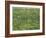 Patch of Grass-Vincent van Gogh-Framed Giclee Print