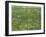 Patch of Grass-Vincent van Gogh-Framed Giclee Print