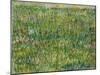 Patch of Grass-Vincent van Gogh-Mounted Giclee Print