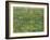 Patch of Grass-Vincent van Gogh-Framed Giclee Print