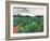 Patch of Prickly Pears on the Way to Tulancingo (Cloudy Sky) 2004-Pedro Diego Alvarado-Framed Giclee Print