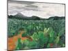 Patch of Prickly Pears on the Way to Tulancingo (Cloudy Sky) 2004-Pedro Diego Alvarado-Mounted Giclee Print