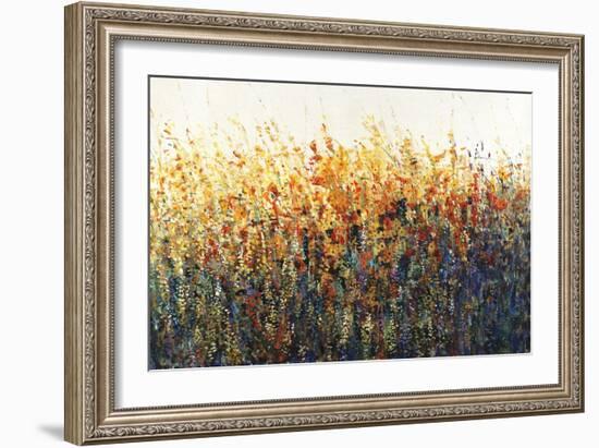 Patches In Bloom II-Tim O'toole-Framed Giclee Print
