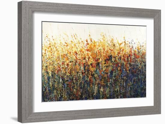 Patches In Bloom II-Tim O'toole-Framed Giclee Print