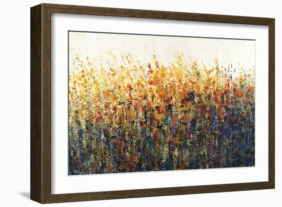 Patches In Bloom II-Tim O'toole-Framed Giclee Print