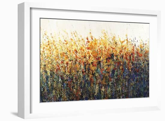 Patches In Bloom II-Tim O'toole-Framed Giclee Print