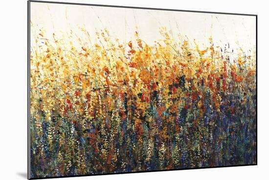 Patches In Bloom II-Tim O'toole-Mounted Giclee Print