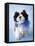 Patches-Rachael Hale-Framed Premier Image Canvas