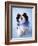 Patches-Rachael Hale-Framed Photographic Print