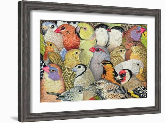 Patchwork-Birds, 1995-Ditz-Framed Giclee Print