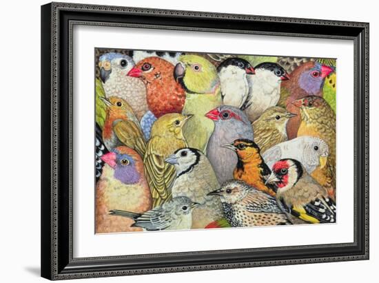 Patchwork-Birds, 1995-Ditz-Framed Giclee Print