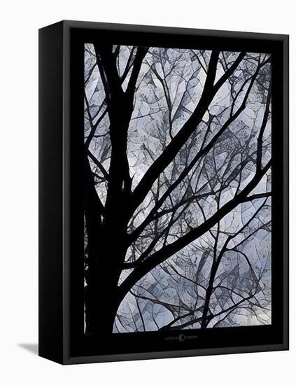 Patchwork Branches-Tim Nyberg-Framed Premier Image Canvas