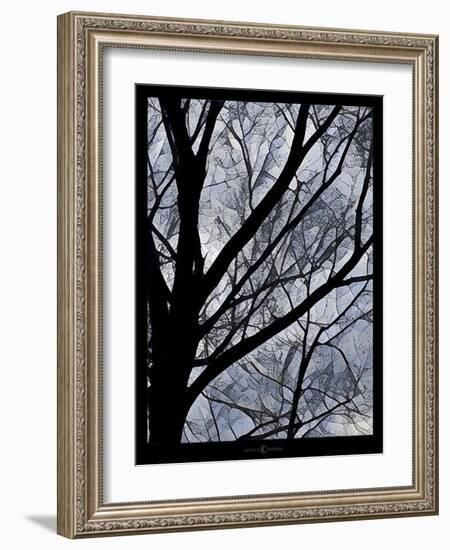 Patchwork Branches-Tim Nyberg-Framed Giclee Print