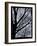 Patchwork Branches-Tim Nyberg-Framed Giclee Print