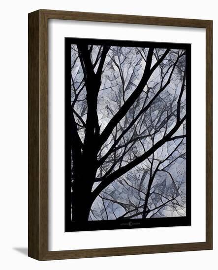 Patchwork Branches-Tim Nyberg-Framed Giclee Print