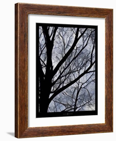 Patchwork Branches-Tim Nyberg-Framed Giclee Print