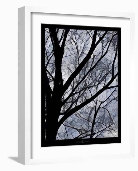 Patchwork Branches-Tim Nyberg-Framed Giclee Print