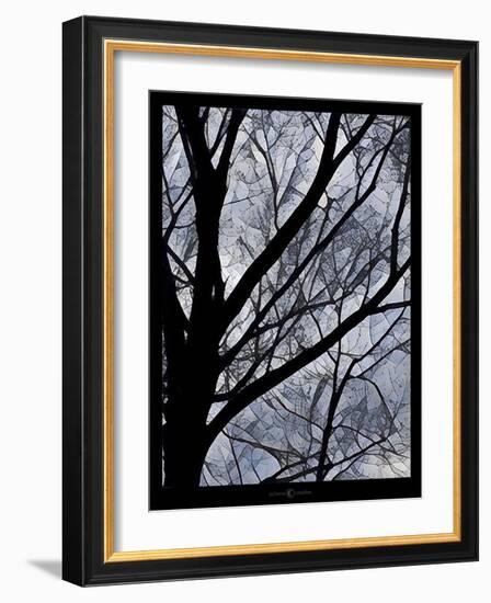 Patchwork Branches-Tim Nyberg-Framed Giclee Print