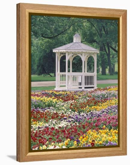 Patchwork of Pansies and Gazebo, Columbus, Ohio, USA-Adam Jones-Framed Premier Image Canvas