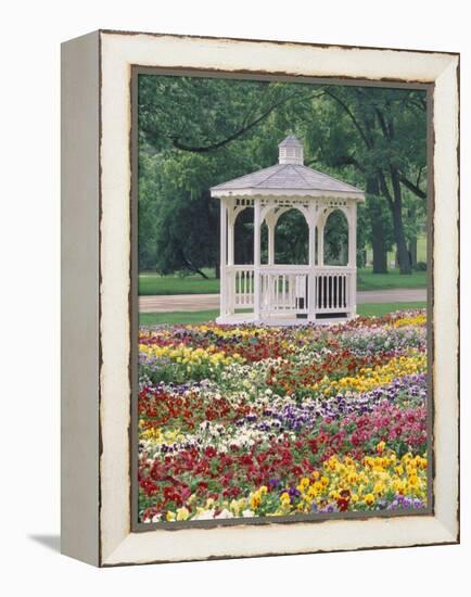 Patchwork of Pansies and Gazebo, Columbus, Ohio, USA-Adam Jones-Framed Premier Image Canvas