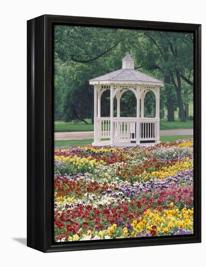 Patchwork of Pansies and Gazebo, Columbus, Ohio, USA-Adam Jones-Framed Premier Image Canvas