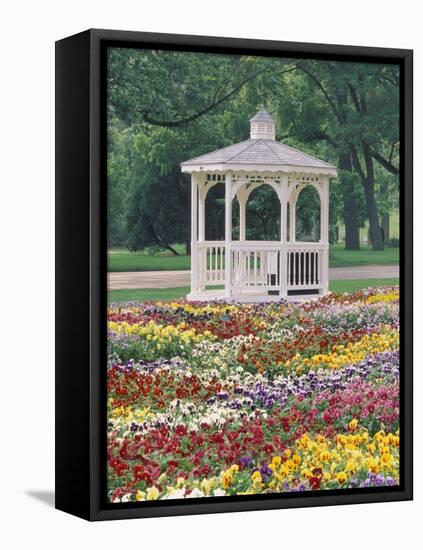 Patchwork of Pansies and Gazebo, Columbus, Ohio, USA-Adam Jones-Framed Premier Image Canvas