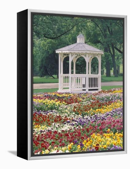 Patchwork of Pansies and Gazebo, Columbus, Ohio, USA-Adam Jones-Framed Premier Image Canvas