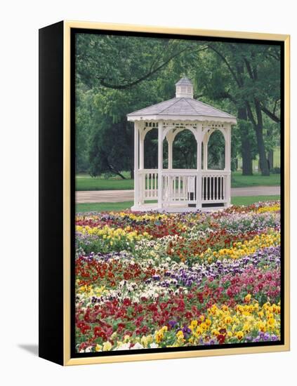 Patchwork of Pansies and Gazebo, Columbus, Ohio, USA-Adam Jones-Framed Premier Image Canvas