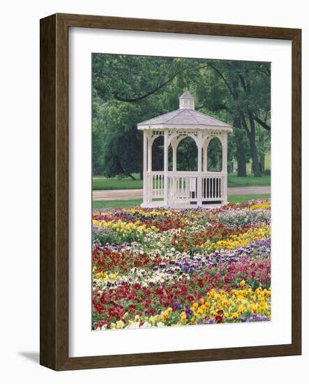 Patchwork of Pansies and Gazebo, Columbus, Ohio, USA-Adam Jones-Framed Photographic Print