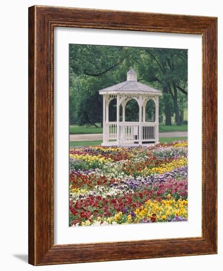 Patchwork of Pansies and Gazebo, Columbus, Ohio, USA-Adam Jones-Framed Photographic Print