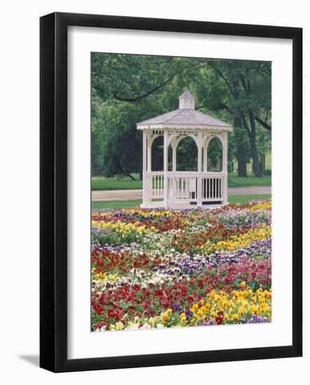 Patchwork of Pansies and Gazebo, Columbus, Ohio, USA-Adam Jones-Framed Photographic Print