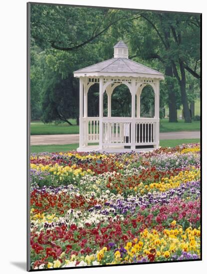 Patchwork of Pansies and Gazebo, Columbus, Ohio, USA-Adam Jones-Mounted Photographic Print