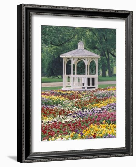 Patchwork of Pansies and Gazebo, Columbus, Ohio, USA-Adam Jones-Framed Photographic Print