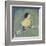 Patchwork Wren II-Grace Popp-Framed Art Print