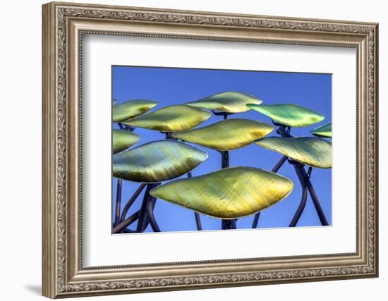 Patchworks-Adrian Campfield-Framed Photographic Print