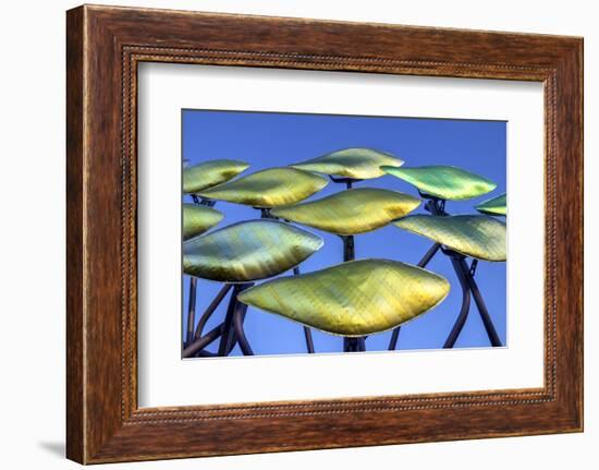 Patchworks-Adrian Campfield-Framed Photographic Print