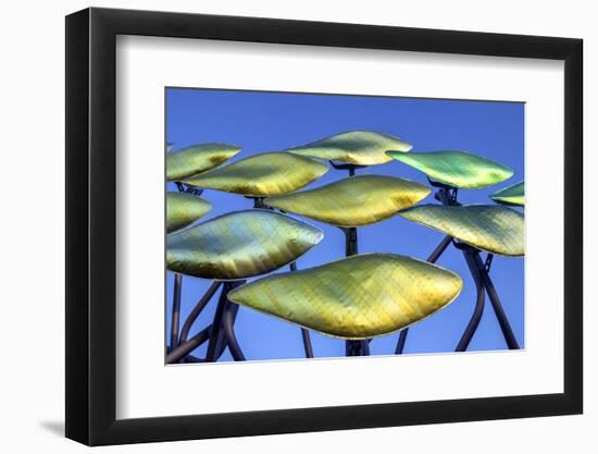 Patchworks-Adrian Campfield-Framed Photographic Print