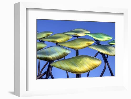 Patchworks-Adrian Campfield-Framed Photographic Print