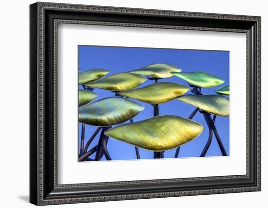 Patchworks-Adrian Campfield-Framed Photographic Print