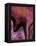 Patchy Pink IV-Ruth Palmer-Framed Stretched Canvas