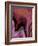 Patchy Pink IV-Ruth Palmer-Framed Art Print
